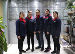 綠盒子養護團隊