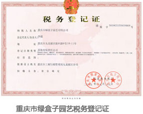 綠盒子稅務登記證